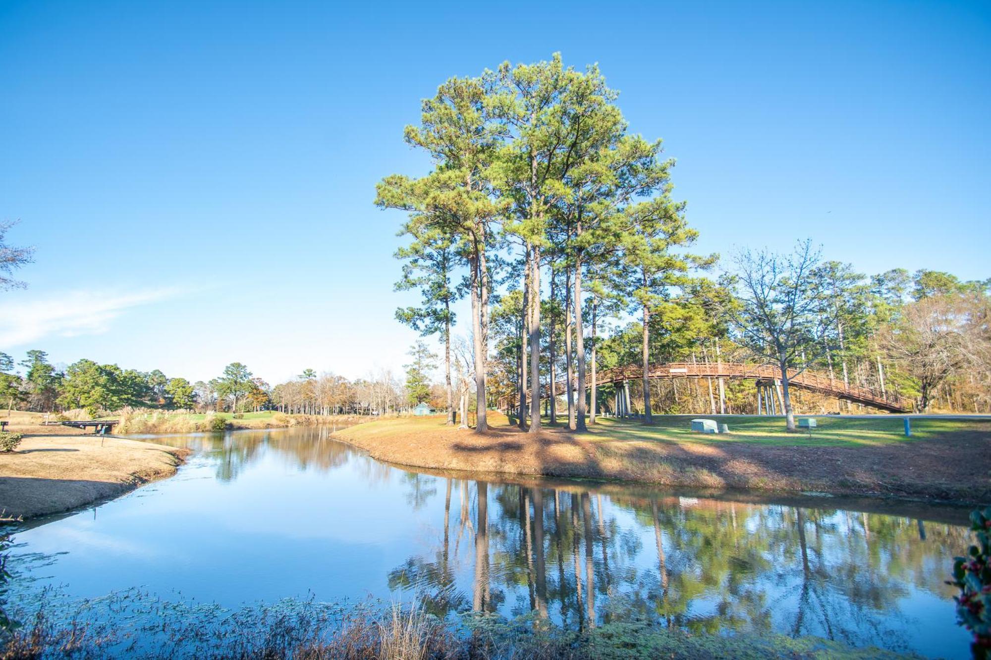 River Oaks 15-G By Palmetto Vacation Rentals Myrtle Beach Zewnętrze zdjęcie